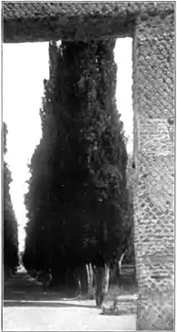 Vitruvius the Ten Books on Architecture - Example of Opus Reticulatum from the Doorway of the Stoa Poecile.jpg