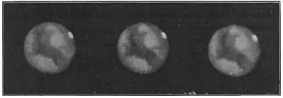 Voyage in Space page145a.jpg