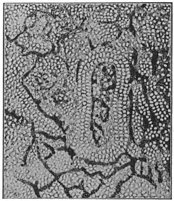 Voyage in Space page212.jpg