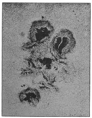 Voyage in Space page213.jpg