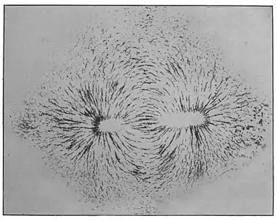 Voyage in Space page221.jpg