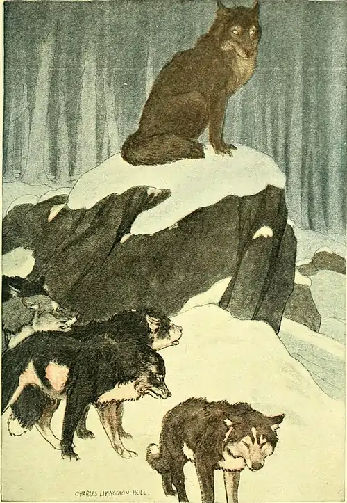 White Fang - To him, in appearance and action and impulse, still clung the Wild.jpg