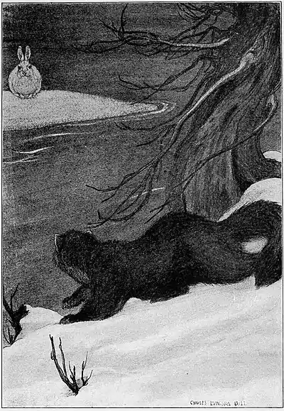 Wildfol00scov pg153.jpg