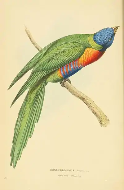 Plate 92.