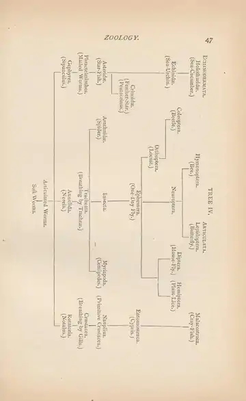 Evolution of Life (Henry Cadwalader Chapman, 1873).djvu