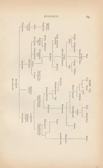 Evolution of Life (Henry Cadwalader Chapman, 1873).djvu