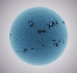 Blueberrysun friedman 1296.jpg