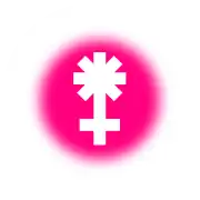 Symbol on a rose background