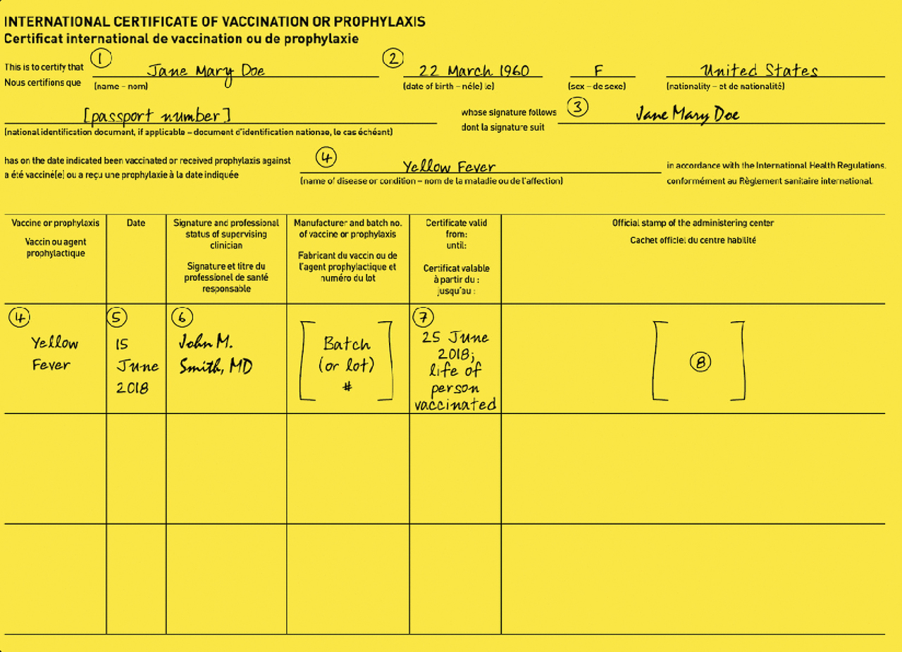 Figure 5-02 International Certificate of Vaccination or  Prophylaxis (ICVP): instructions for completion